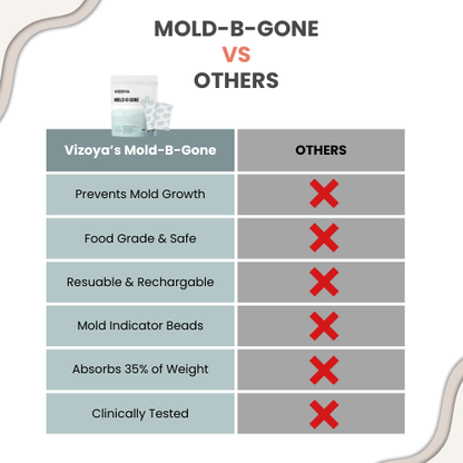 Mold-B-Gone