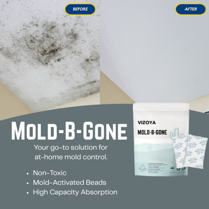 Mold-B-Gone